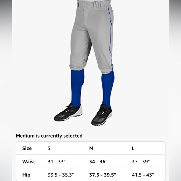 Champro Men's Triple Crown Baseball Pant Knickers size medium Gray and Royal - Picture 6 of 8